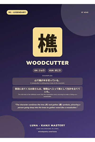 OEM Poster Infografic Kanji Taietor de lemne, Design Japonez, Carton 250g, A4
