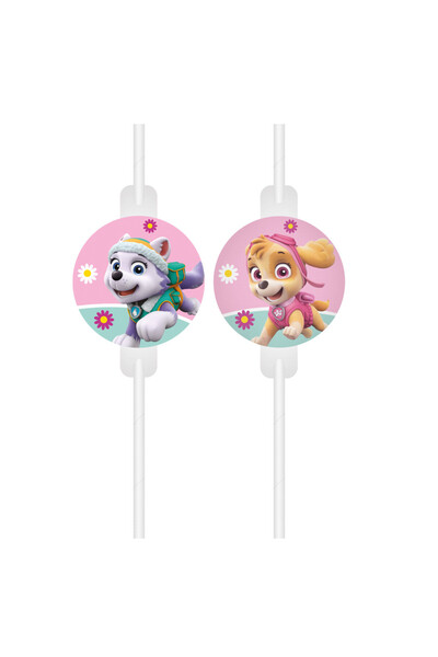 Javoli Paw Patrol Skye and Everest paper straws, set of 4 FSC pieces