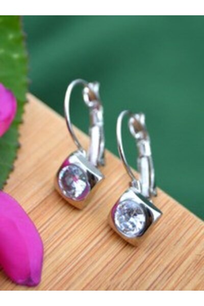 Stoneage Earrings - silver color -