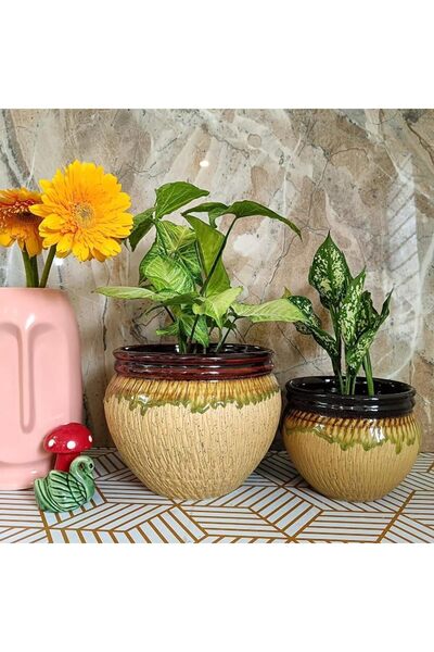 Niyara Stylish Unique Glacier Look Combo Cream Ceramic Pots Planters for Indo...