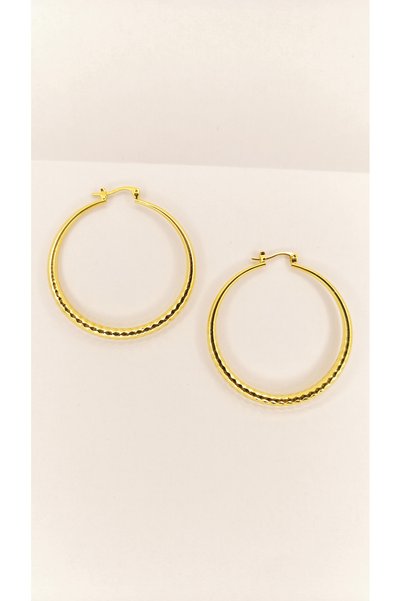 ÖZÇTAKI 316 L Steel Tarnish-Free, Rust-Proof Diameter: 4.5 cm Women's Earrings