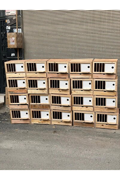 EMRAH DEMİR KAFESCİLİK DMR PET Ahşap Güvercin Sandığı 45×40×40 – Kurulu Güver...