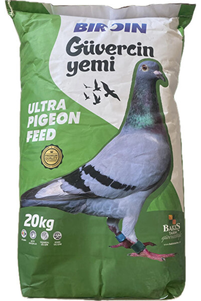 Birdın yeşil güvercin yemi