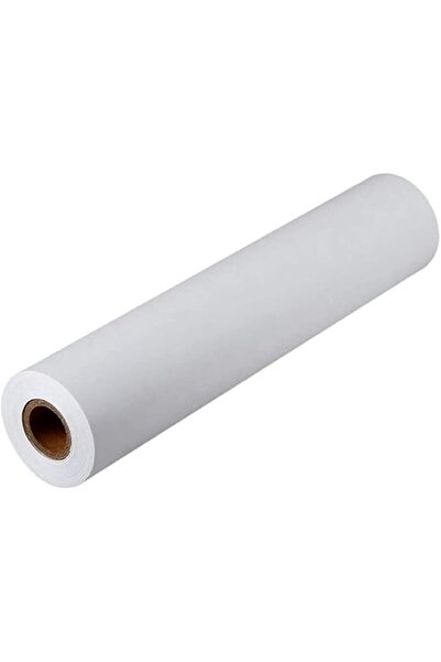 Delfino Silver DELFINO Drawing Paper Roll - White Art Easel Paper for Paintin...