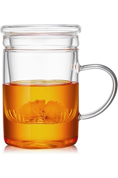 KASTWAVE 17oz/500ml Borosilicate Glass Tea Cup with Infuser and Lid – Clear D...
