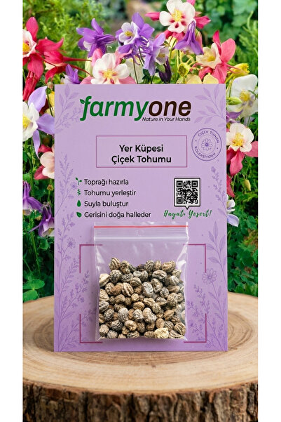 Yer Küpesi Çiçek Tohumu – 30 Adet