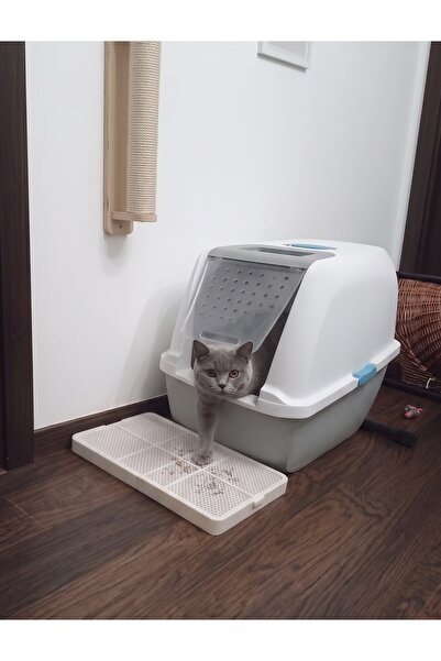 Essme Collection Tepsili kedi kumu paspası - Petek Dokulu Yıkanabilir Kedi Tu...