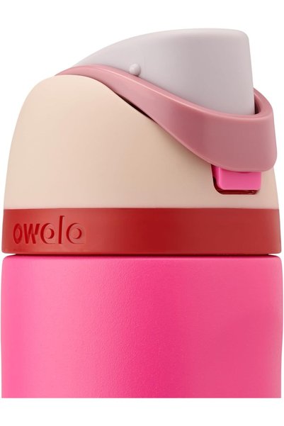 owala 32 oz BPA Free Stainless Steel Flask (Can You See Me? (Pink))