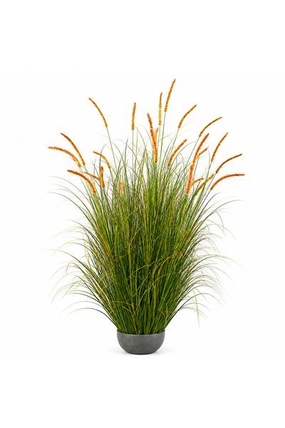Alista Home Plantă artificială ornamentală, Iarbă coada-pisicii, 150 cm, 26 d...
