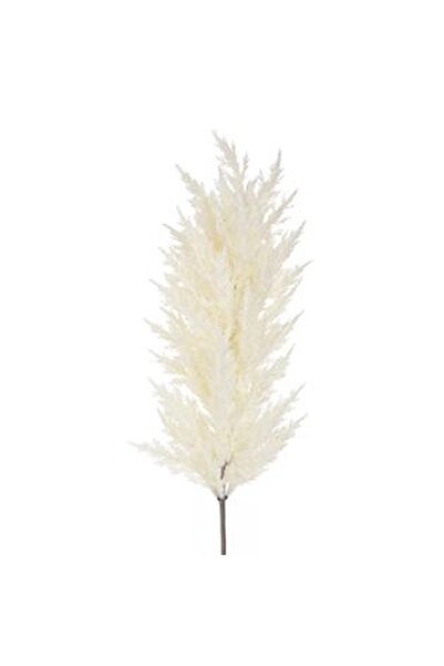 CBD CORAL BEST DEALS Iarba de Pampas Alba 86cm