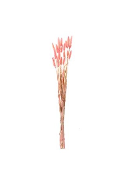 CBD CORAL BEST DEALS Ramuri Decorative Coada Iepurelui Bunny Tails Roz 60cm