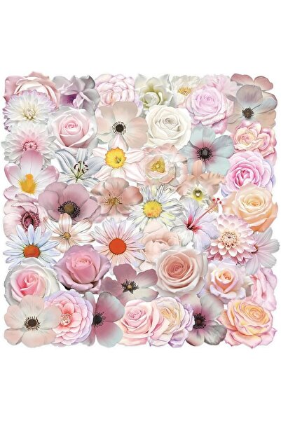 Tazweeq 50Pcs Pink Flower Stickers, Transparent Aesthetic Stickers for Scrapb...
