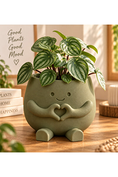 TrendClicker 13x10 cm Büyük Boy Sevimli Kalp Saksı – Figürlü Dekoratif Sukule...