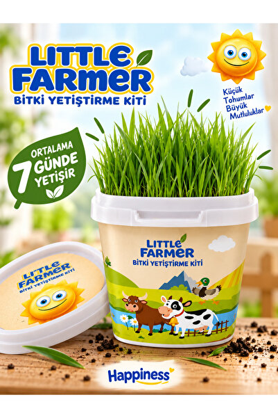 TOMBİ-X Little Farmer Çim Yetiştirme Kiti – Eğitici Bitki Yetiştirme Seti Çim...