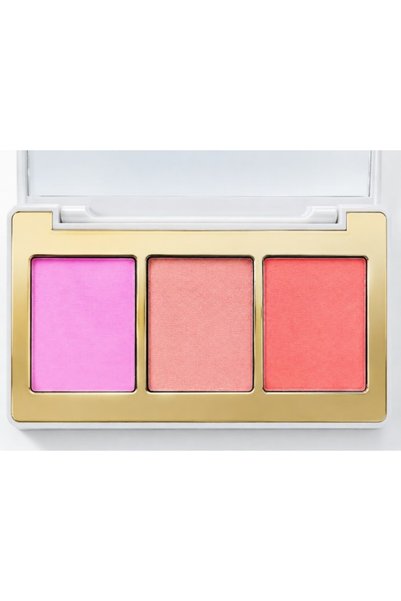 Dannes Beauty Fard de obraz Dorința Trandafirului, 12 g