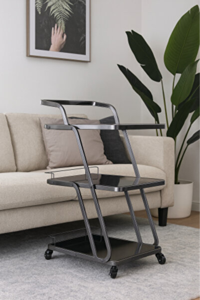 HOMEZ NEED Elegant serving cart with three tiers – silver chrome frame and lu...