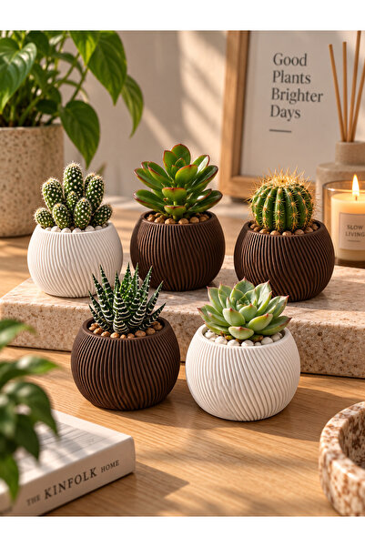 triora Liora Mini Kaktüs & Sukulent Saksısı 5 li– Modern Dokulu Dekoratif Min...