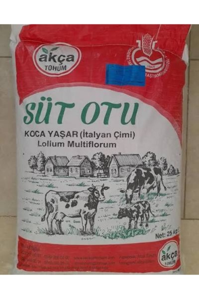 AKÇA Tohum Ryegrass (Süt Otu) Tohumu 25 Kg