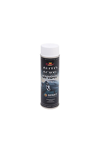 Champion Color Spray vopsea alb mat Champion profesional 500ml