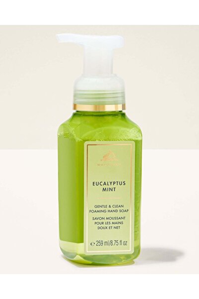 Bath and Body Works Eucalyptus Mint Gentle & Clean Foaming Hand Soap