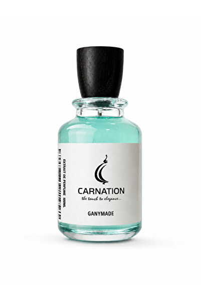 CARNATION Ganimede Eau de Parfum | Mineral, Warm Spicy & Woody Unisex Fragran...