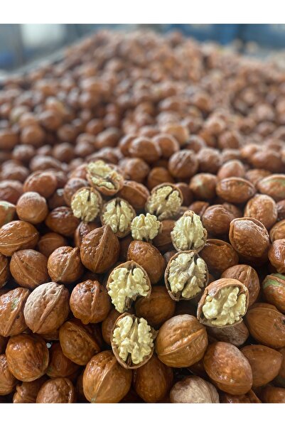 TAZE CEVİZ - 1 KG