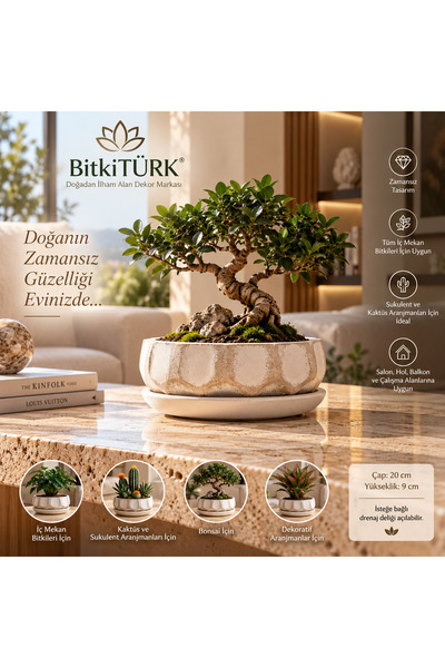 BitkiTÜRK Beton Bonsai Saksısı ve Altlık Seti | Dekoratif Saksı, İç Mekan Bit...