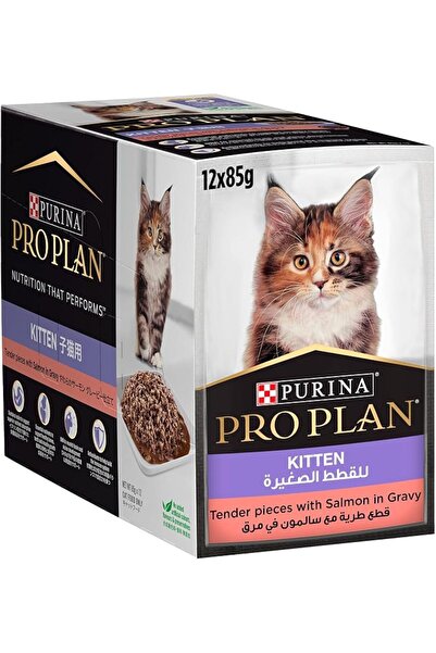 PURINA DOG&CAT CHOW Purina Pro Plan Kitten with Salmon Wet Cat Food 85g