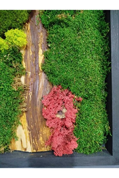 Genel Markalar DCARTGALLERY Forest Path Ahşap & Yosun Tasarım Duvar Dekoru (3...
