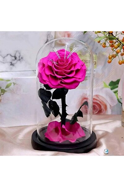 Trandafir Criogenat Trandafir conservat Cyclamen într-o cupolă Ø8 cm