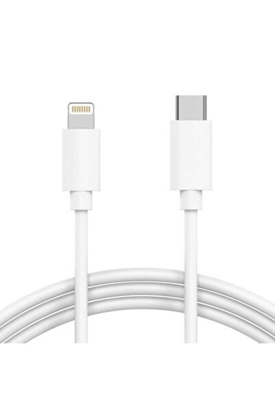 Ion Brand PD Cable,Certified, Supports Fast Charging, Type-C to lightning, 1 ...