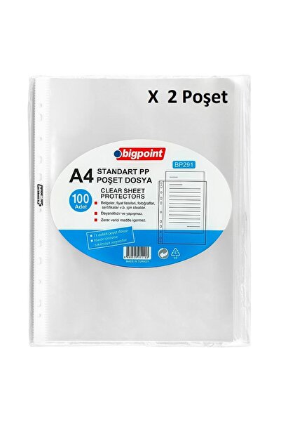 Bigpoint Poşet File Standard 40 Micron 100 Pack X 2 Bags