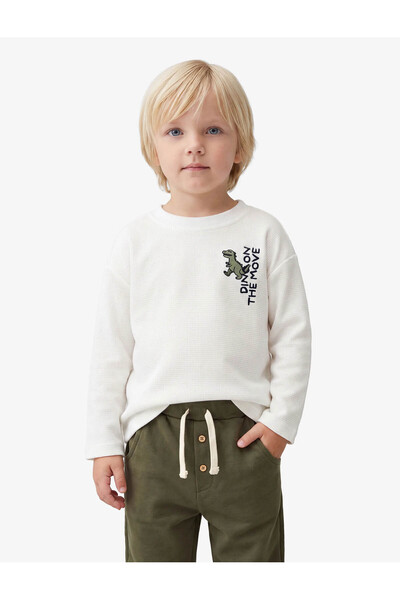 Koton Cotton Long Sleeve Crew Neck Dinosaur Embroidered Oversize T-Shirt