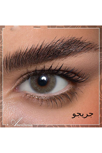 Generic Brand عدسات لاصقة لمدة 6 اشهر اديكت جريجو من انستازيا