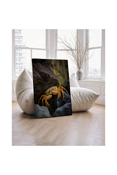 Generic Brand Tablou canvas 70x100 cm Dormitor, Living, Bucatarie, Crab Galbe...