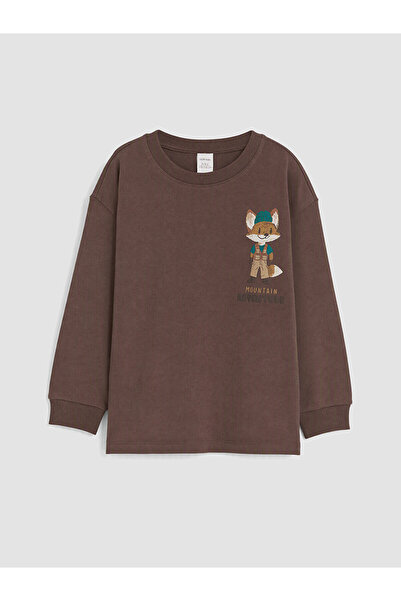 LC Waikiki Two Mt Shop Quality Lcw Kids Brown Printed Long Sleeve Boys' T-Shirt