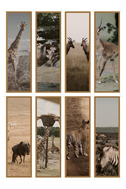 OEM Semne de Carte Set de 8, Tematica Safari in Salbaticie, Carton Premium, D...