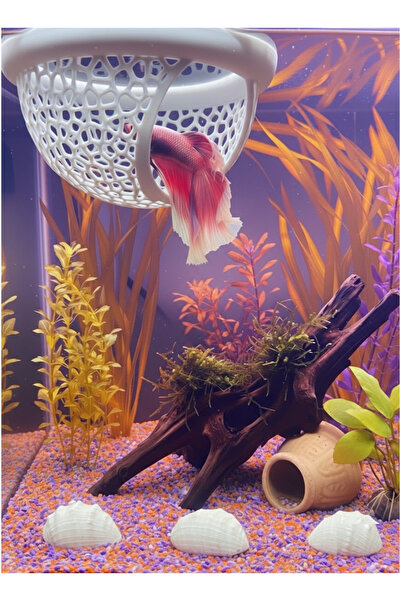 nexprint3dtasarım Beta Fish Betta Resting Area & Breeding Nest – Halfmoon Foa...