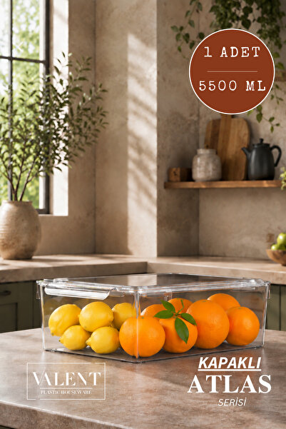 VALENT Atlas Tekli 5500ML Kapaklı Saklama Kabı Buzdolabı Düzenleyici Akrilik