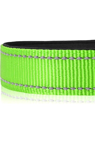 Q TRIPLE A Reflective Dog Collar with Soft Neoprene Padding, Metal D-Ring and Adjustable Length, Premium Nylon Material (Color: Green)