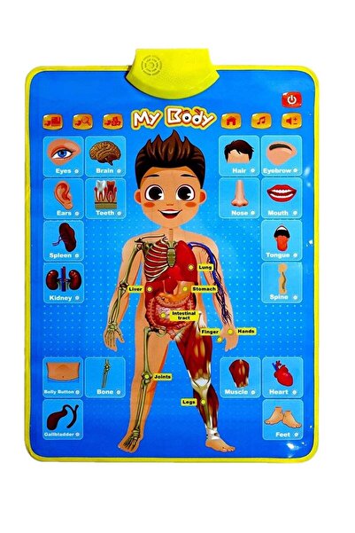 UKR Educational Talking Poster for Kids – Interactive Musical Learning Toy fo...