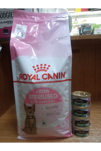 Royal Canin Kitten Sterilised Yavru Kedi Kuru Maması 2 Kg+4 adet pro plan kıs...