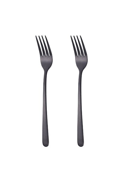 OEM Stainless Steel Forks Black 21cm - 2pcs