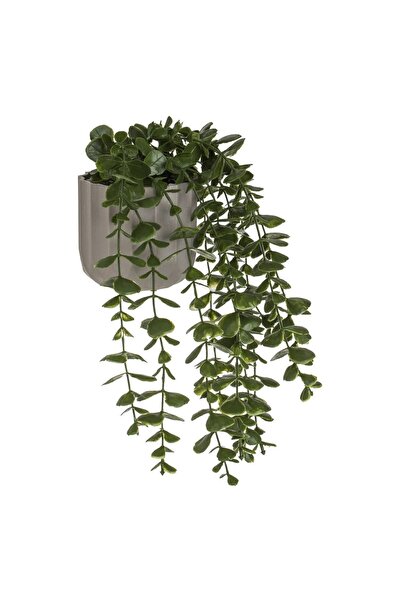 OEM Ghiveci Decorativ din Plastic Taupe cu Planta Curgatoare Ø8x25cm