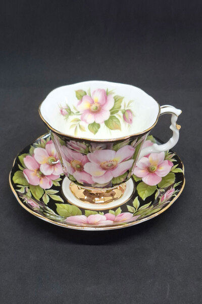 Royal Albert Provincial Flowers Alberta Rose Figured Cup 2 Pieces 150 ml