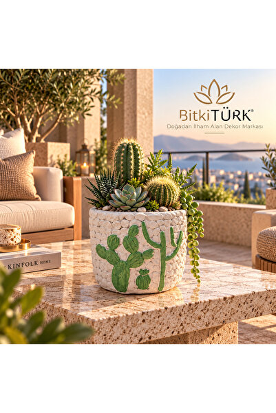 BitkiTÜRK Kaktüs Kabartmalı Beton Saksı İç Mekan Bitkileri Bonsai Kaktüs Suku...