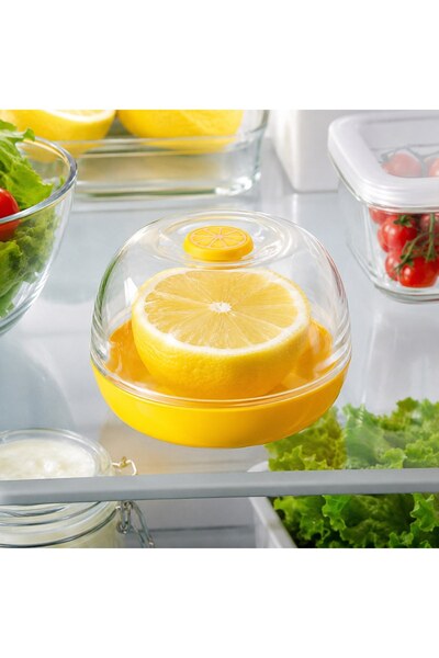 OEM Lemon Storage Container