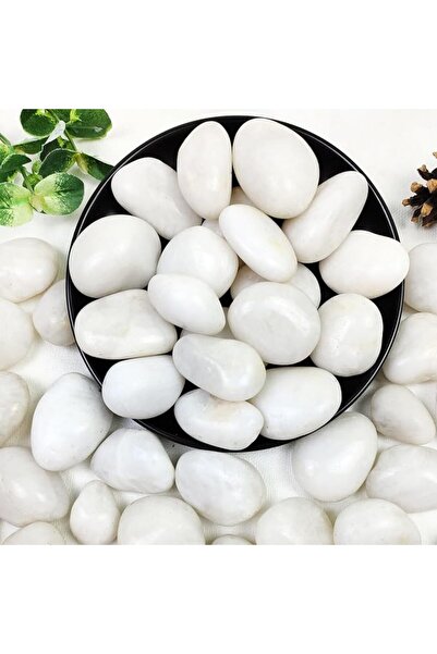 GENERAL Weszm 4.5kg White River Rocks Natural Gravel 2 - 5 cm for Indoor Plan...