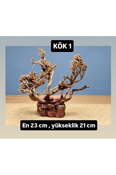 KÖK 1