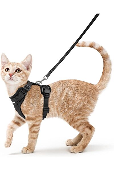 Rabbitgoo Cat Harness and Leash for Walking, Escape Proof Soft Adjustable Ves...